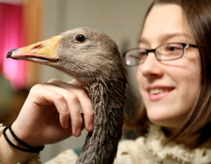 student with goose